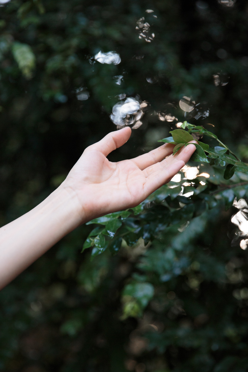 nature